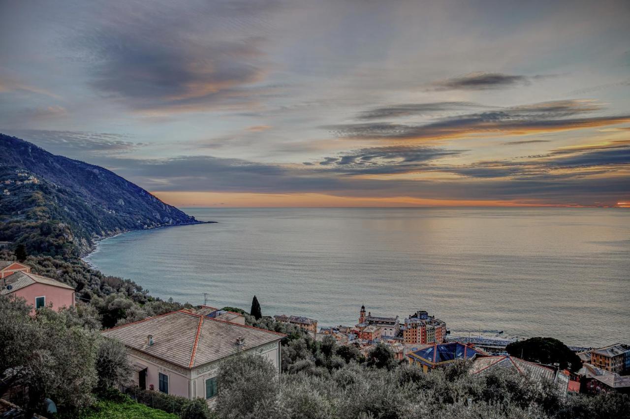 Casa Paradiso Leilighet Camogli Eksteriør bilde